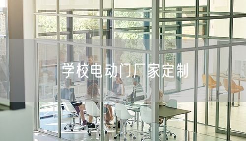 学校电动门厂家定制