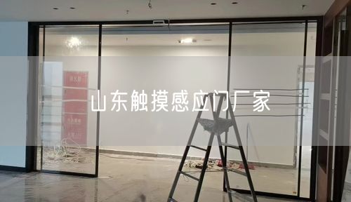 山东触摸感应门厂家 