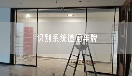 识别系统道闸车牌